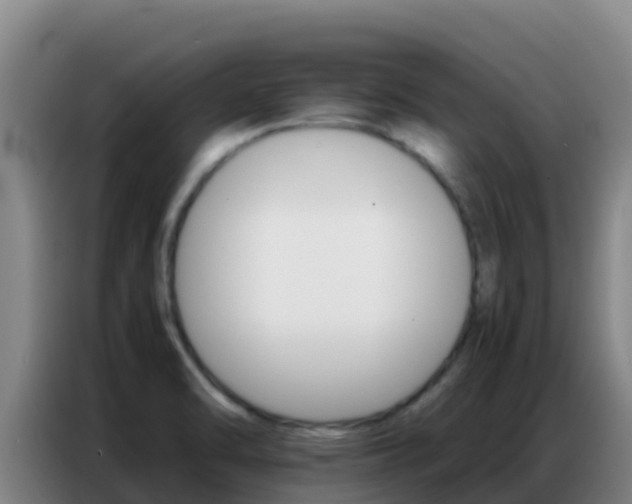 X0000086791470200704201834