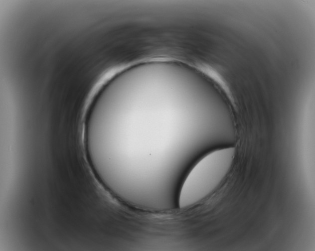 X0000086791472200704201834