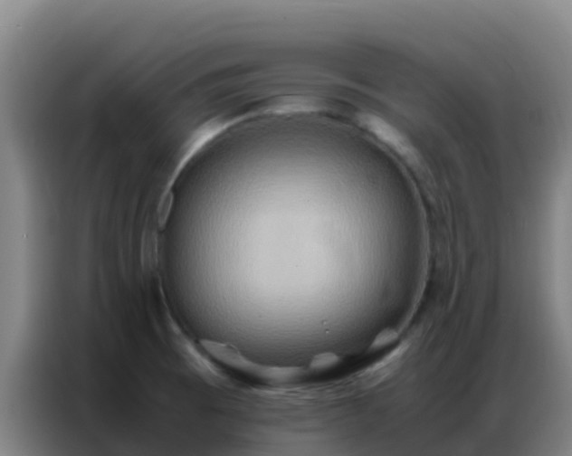 X0000086791473200704201834
