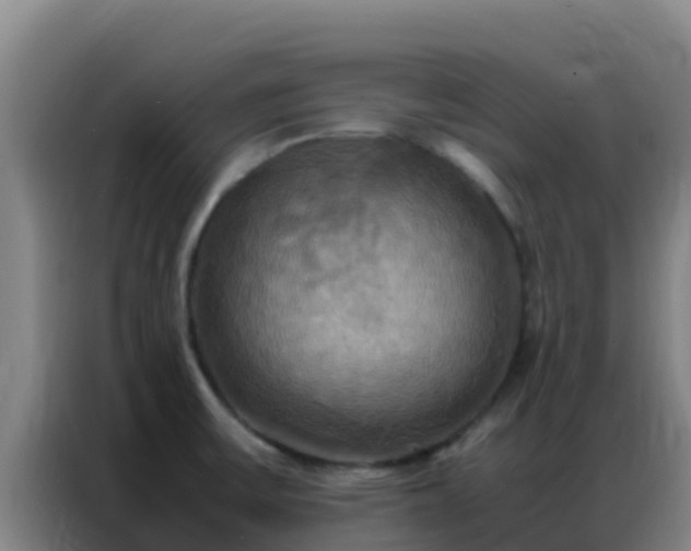 X0000086791475200704201834