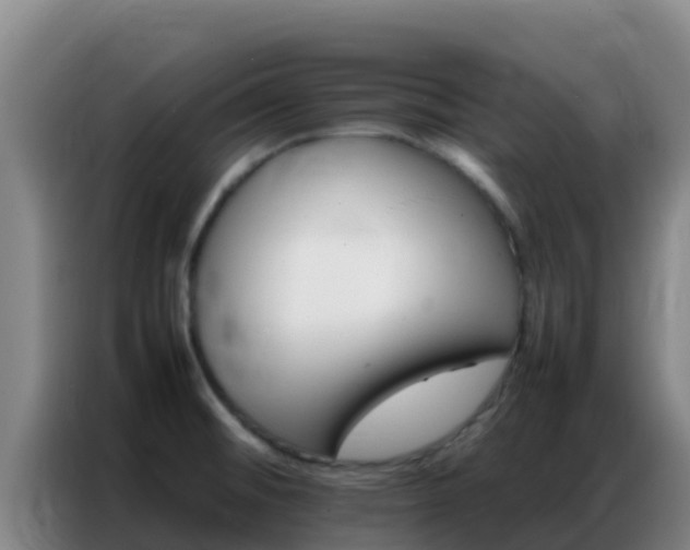 X0000086791476200704201834