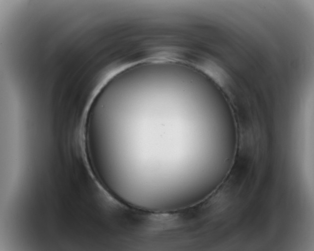 X0000086791478200704201834