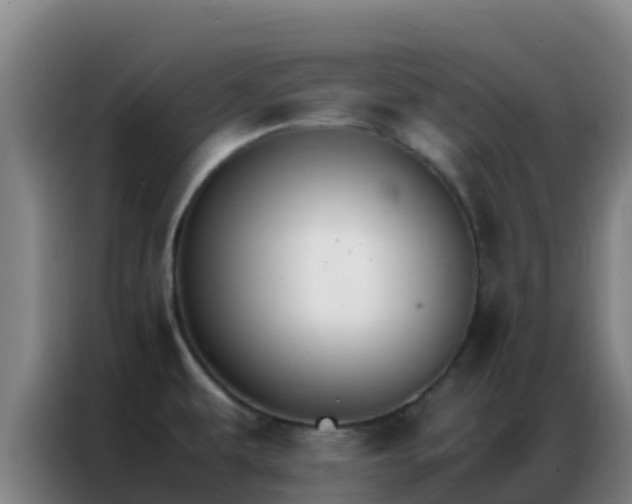 X0000086791479200704201834