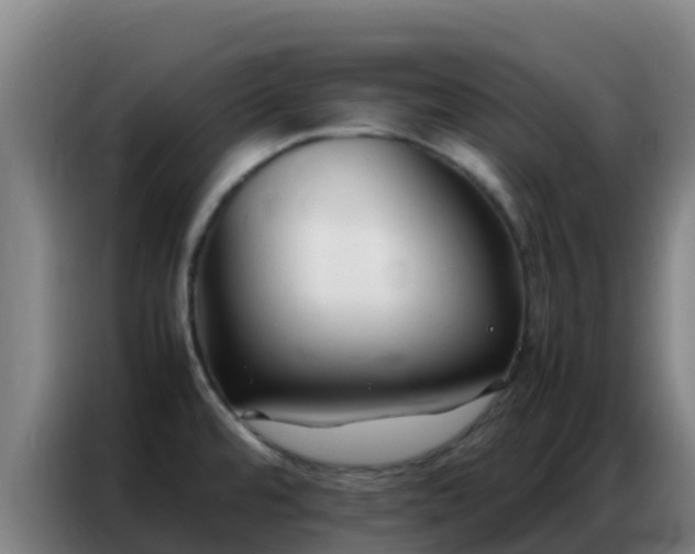 X0000086791480200704201834
