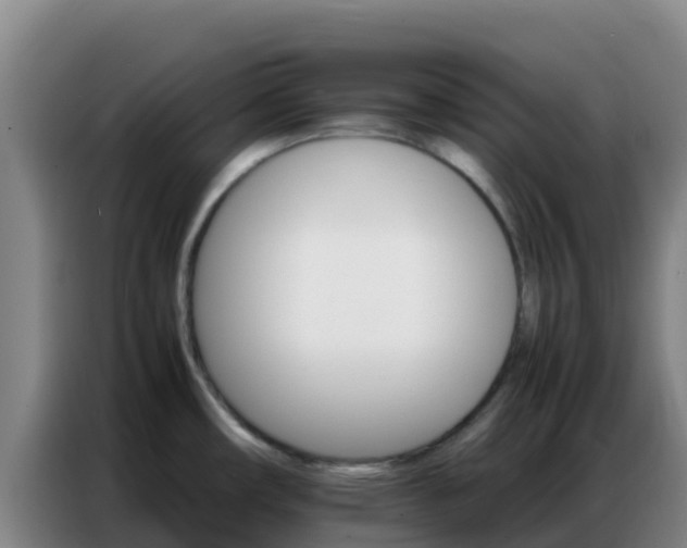 X0000086791482200704201834