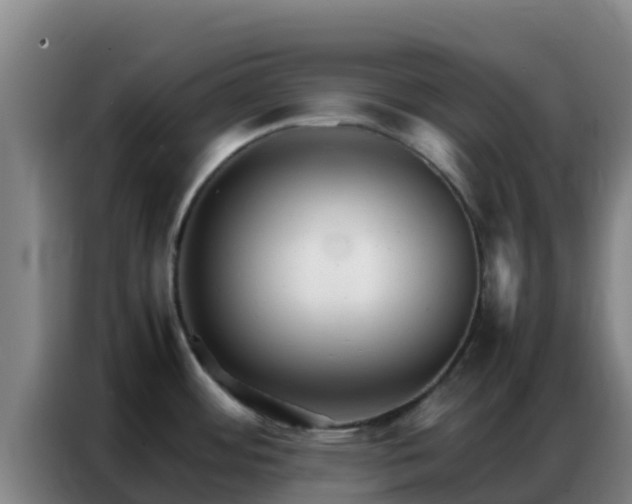 X0000086791484200704201834