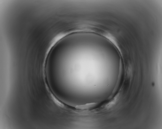 X0000086791485200704201834