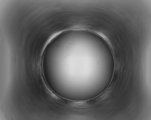 X0000086791486200704201834