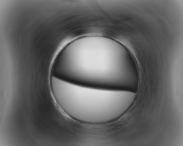X0000086791488200704201834