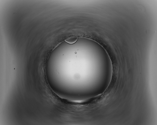 X0000086791489200704201833