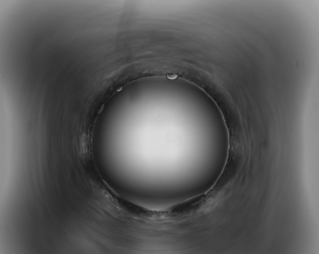 X0000086791490200704201833