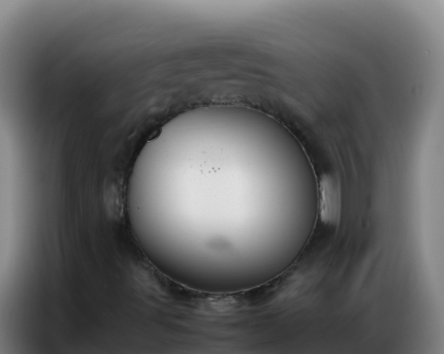 X0000086791491200704201833