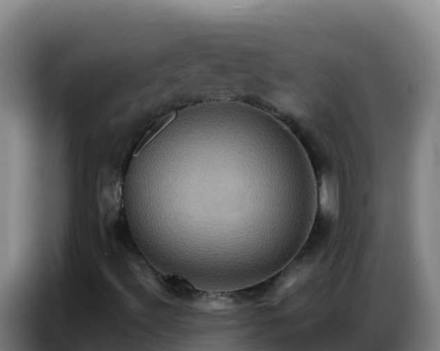 X0000086791492200704201833