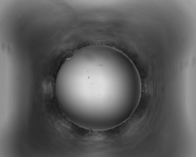 X0000086791493200704201833