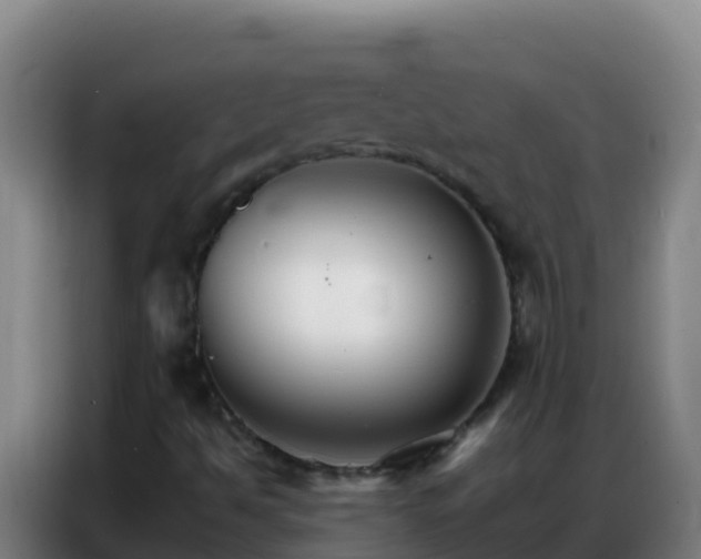 X0000086791494200704201833