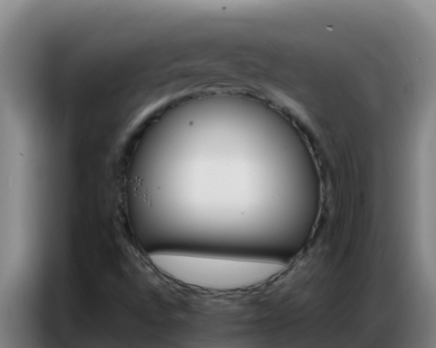 X0000086791496200704201833