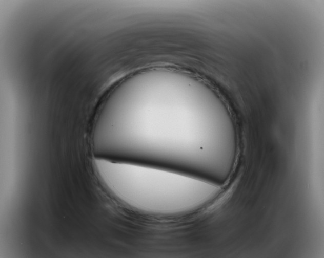 X0000086791497200704201833