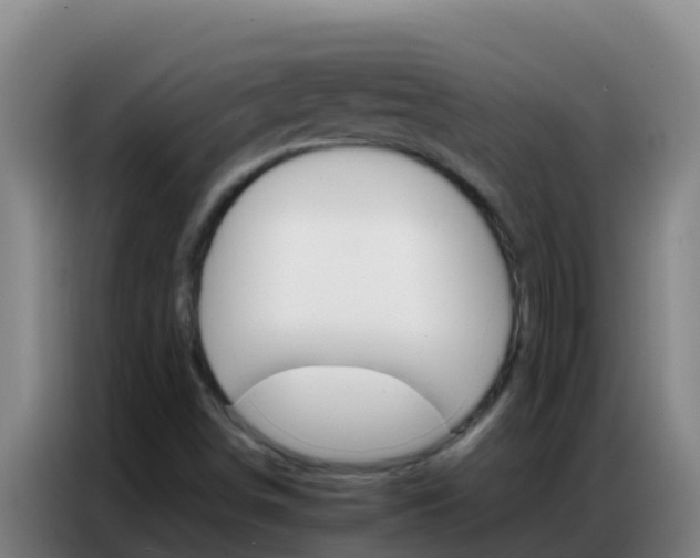 X0000086791498200704201833