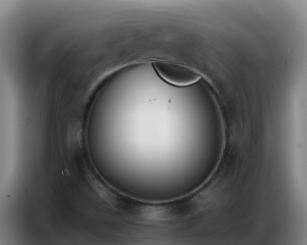 X0000086791499200704201833