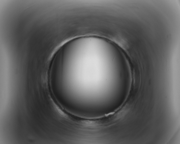 X0000086791500200704201833