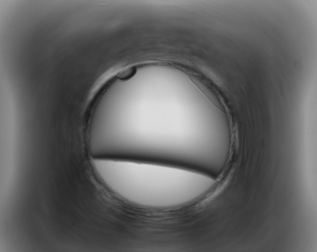 X0000086791501200704201833