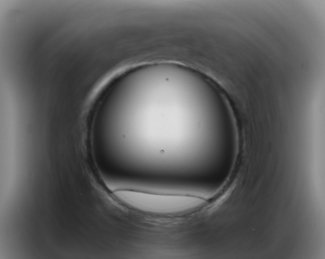 X0000086791502200704201833