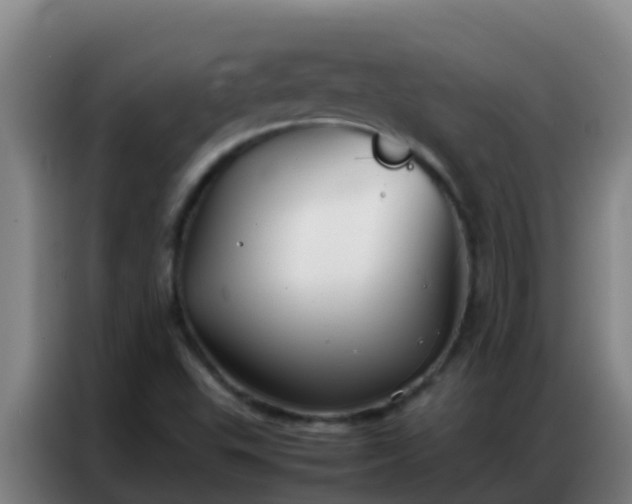 X0000086791503200704201833