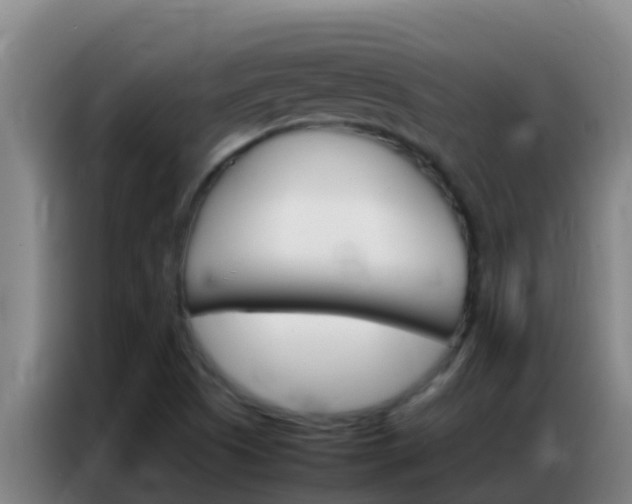 X0000086791505200704201833