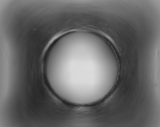 X0000086791506200704201833