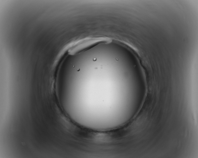 X0000086791507200704201833