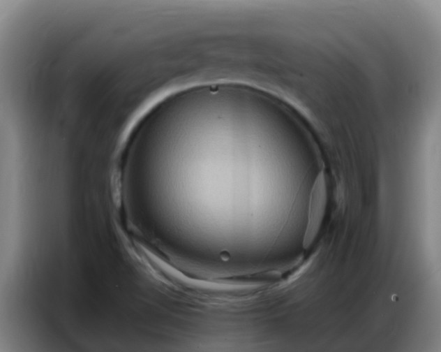 X0000086791510200704201833