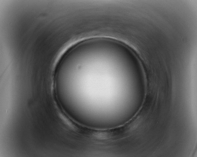 X0000086791511200704201833
