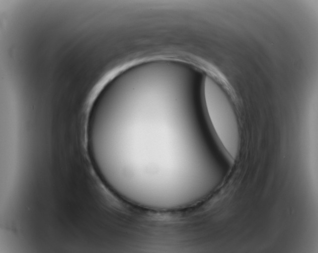 X0000086791512200704201833