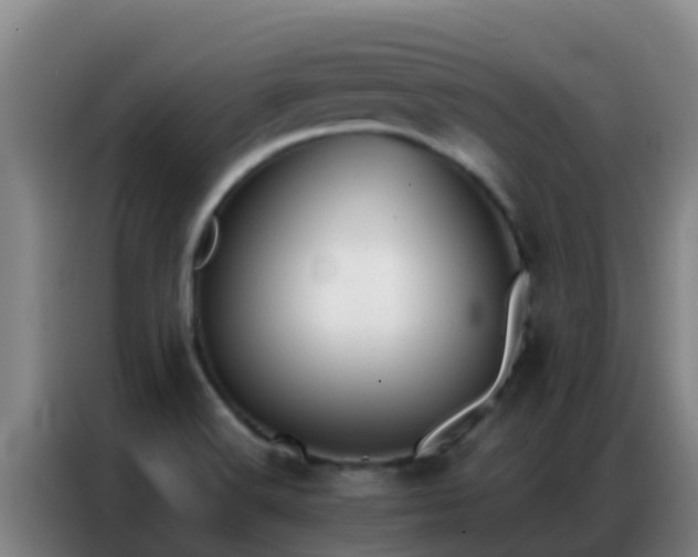 X0000086791516200704201833