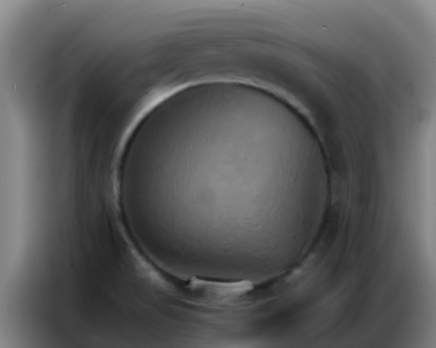 X0000086791517200704201833