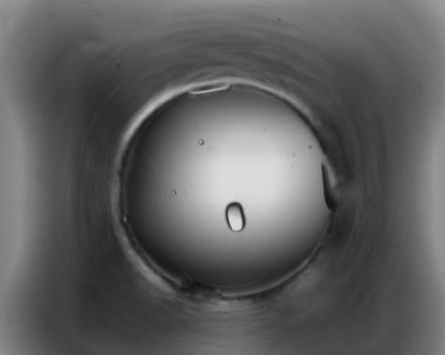 X0000086791518200704201833