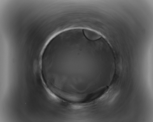 X0000086791519200704201833