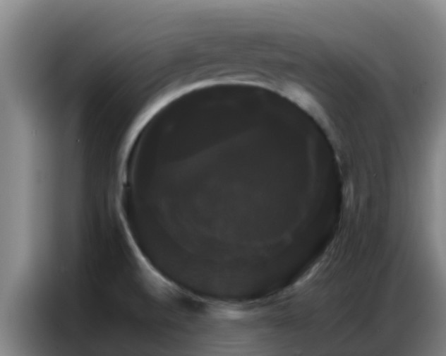 X0000086791520200704201833