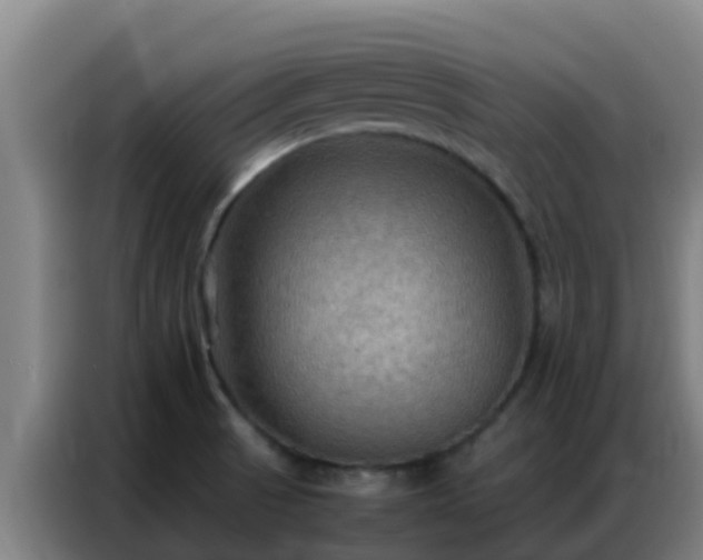 X0000086791521200704201834