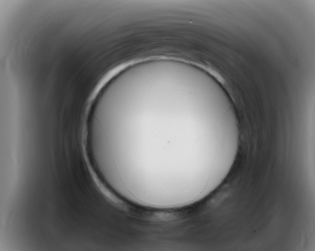 X0000086791523200704201834