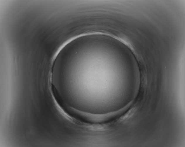 X0000086791524200704201834