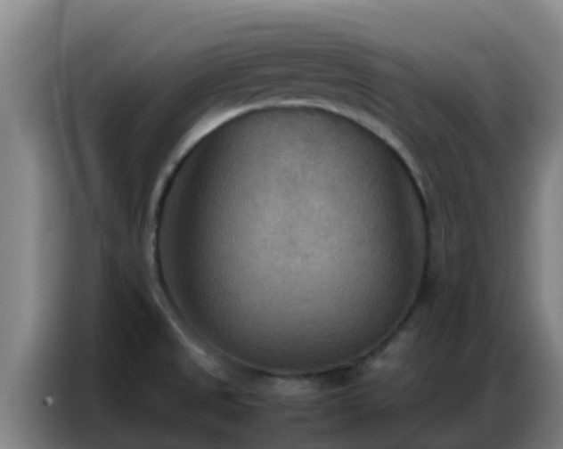 X0000086791525200704201834