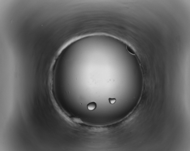X0000086791526200704201834