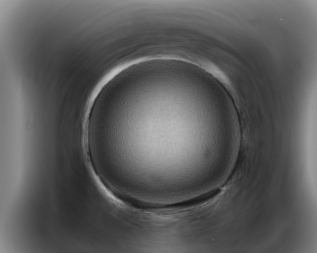 X0000086791528200704201834