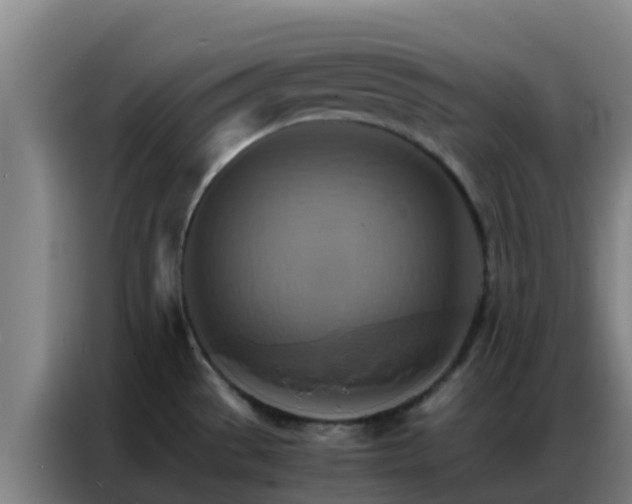 X0000086791529200704201834