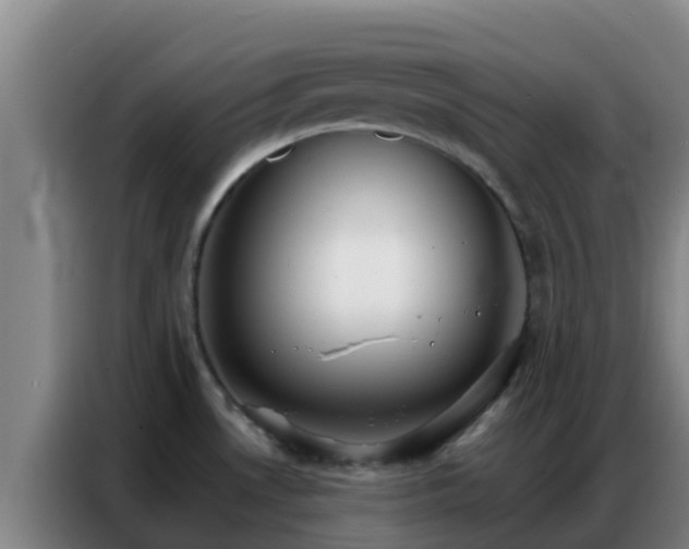 X0000086791530200704201834