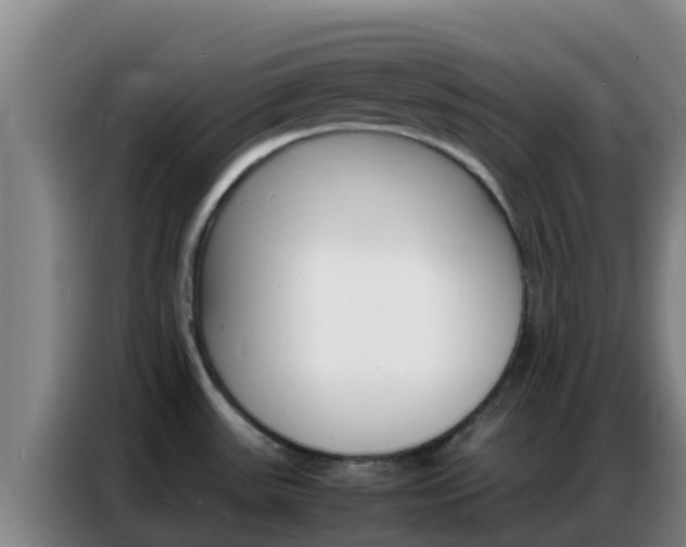 X0000086791531200704201834