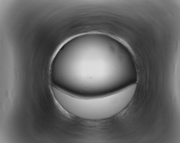 X0000086791532200704201834