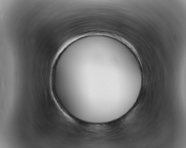X0000086791533200704201834