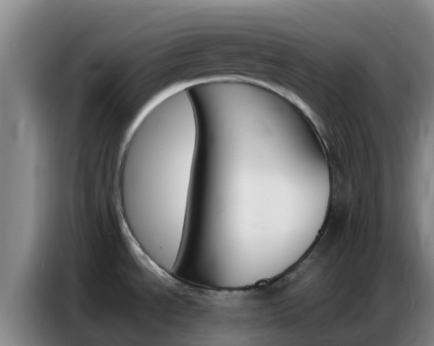 X0000086791534200704201834